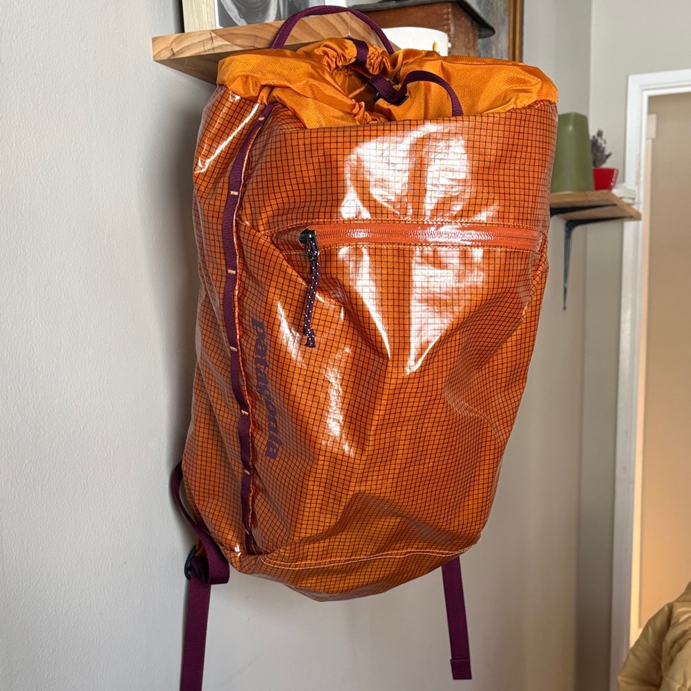 Patagonia Blackhole Backpack